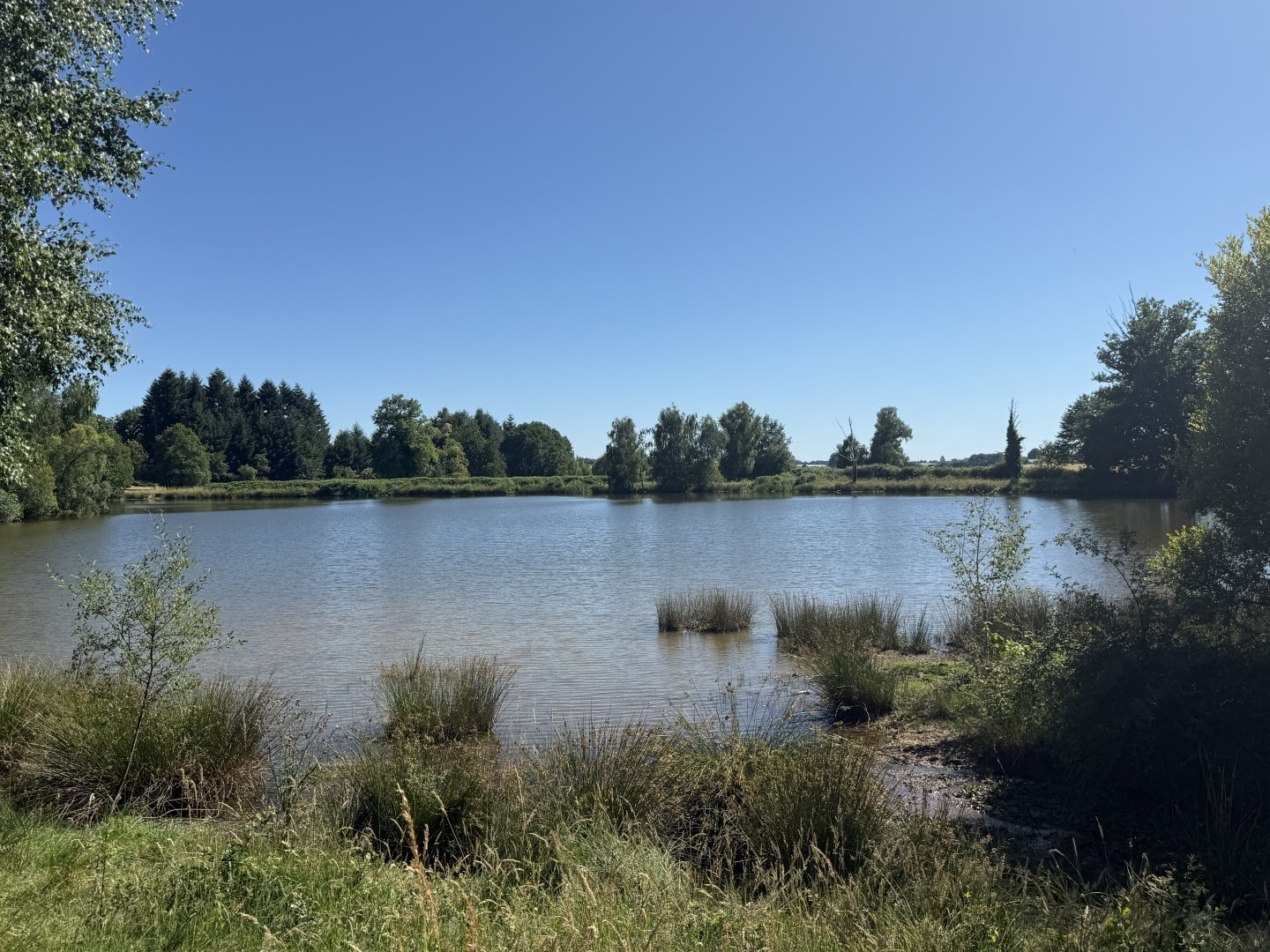 PARCELLE DE 8HA AVEC ETANG
