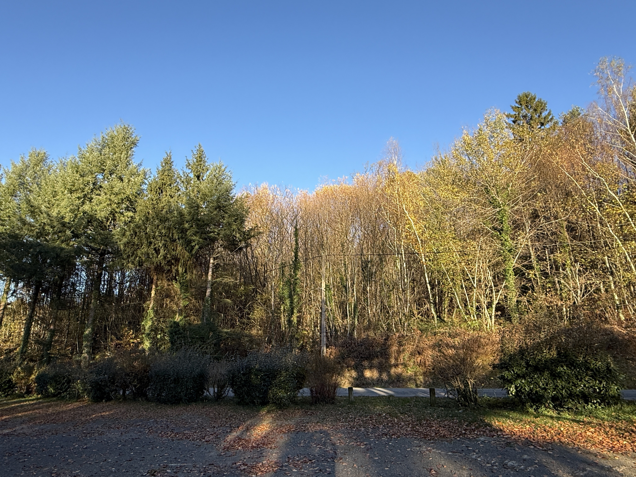 PARCELLES A BATIR AVEC VUE PLAN D'EAU