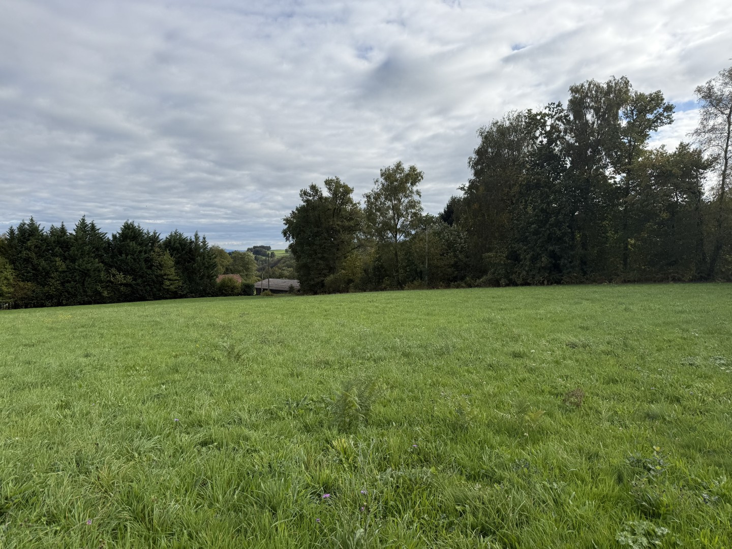 TERRAIN A BATIR HORS LOTISSEMENT